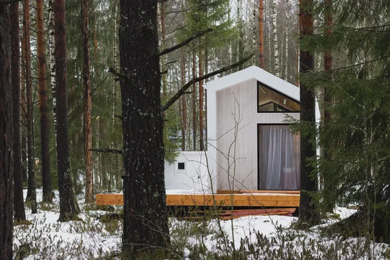 Белый домик