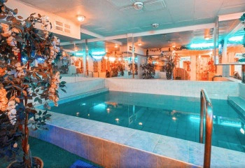 Сауна Крылья