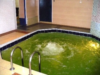 Сауна Садко