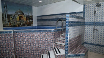 Сауна Панорама