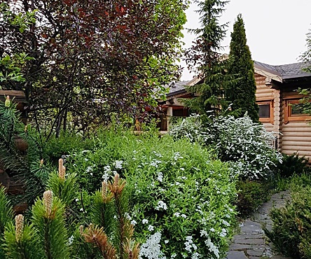 Дом-Баня на дровах 