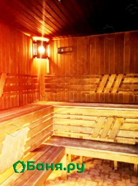 Сауна Медведь