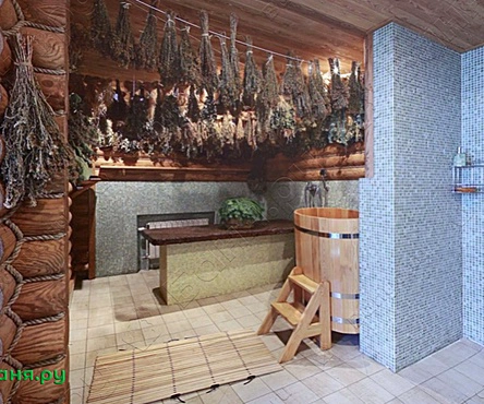 Русские бани Живитель