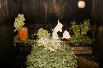 Мыльни Изба