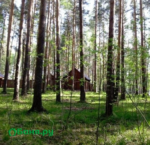 Баня на дровах