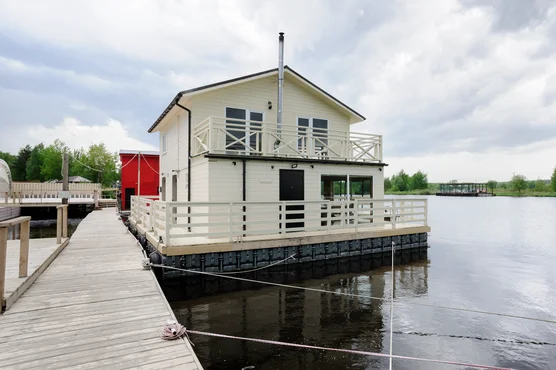 Светлый дом-баня Лиса