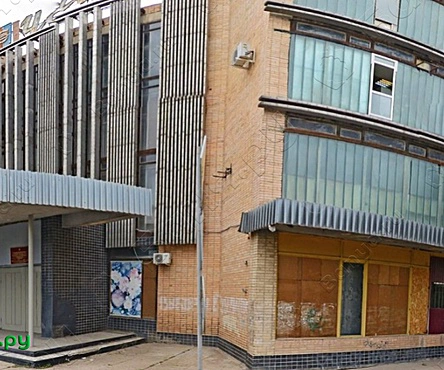 Парная Чайка