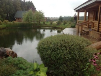 Баня Усадьбы Терема