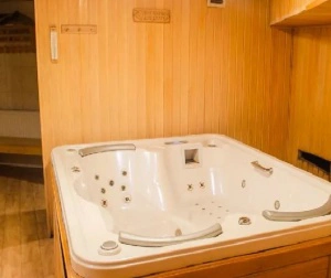 Сауна Диона