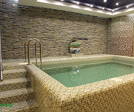 Зона Тропики