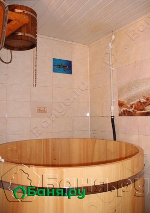 Парная на дровах с купелью