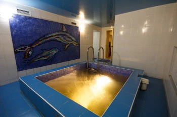 Баня-сауна-отель Кошкин Дом