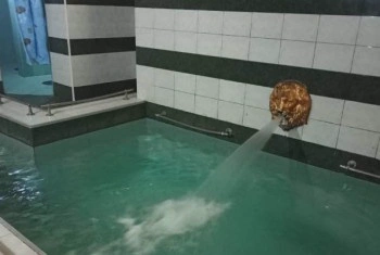 Сауна на Беломорской