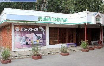 Сауна Белый попугай