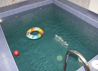 Сауна С легким паром