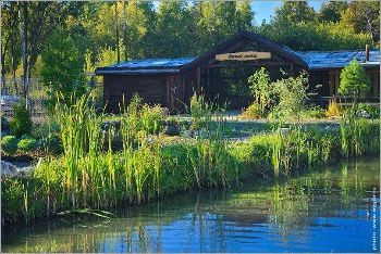 Дзен-баня Белый лотос