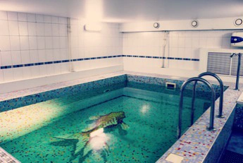 Сауна Аква клуб