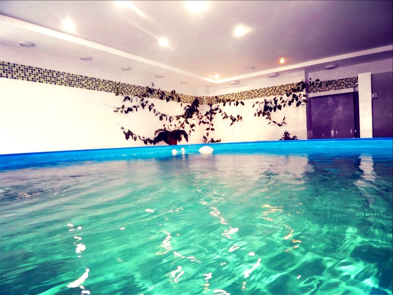 SPA-зона фитнес клуба Plaza