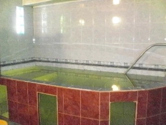 Баня У Палыча