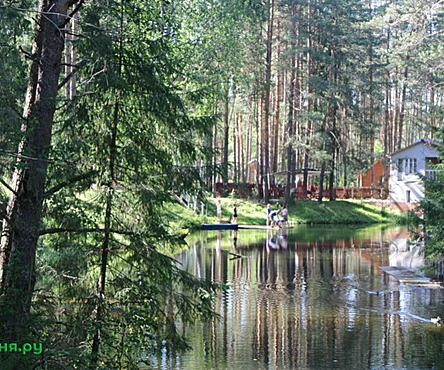 Русская баня