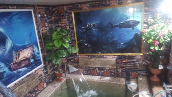 Сауна Глобус