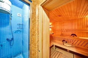 Сауна-гостевой дом Лев