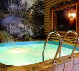 Сауна Термион