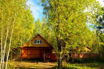 Русская баня Золотой фазан