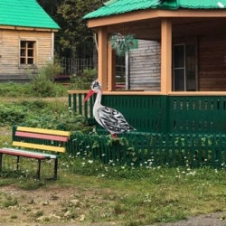 Баня-туркомплекс Амут Сноу Лейк