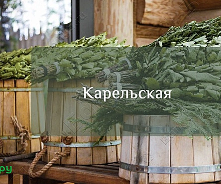 Баня Карельская 