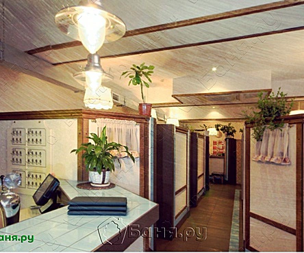 Класс Разночинный