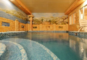 Аквасауна Новая Сельга