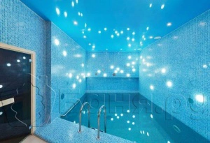 Сауна Мишель