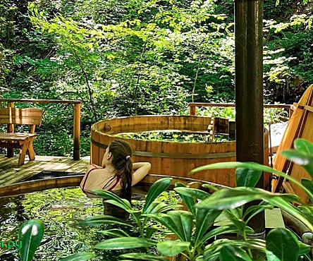 SPA-комплекс в реликтовом лесу