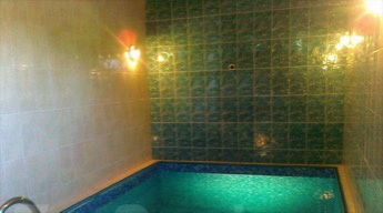 Сауна Дельфин