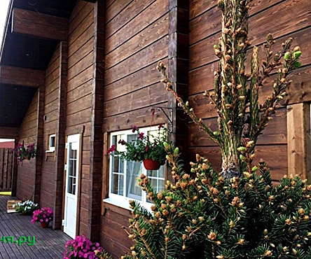 Коттедж с баней Фрегат