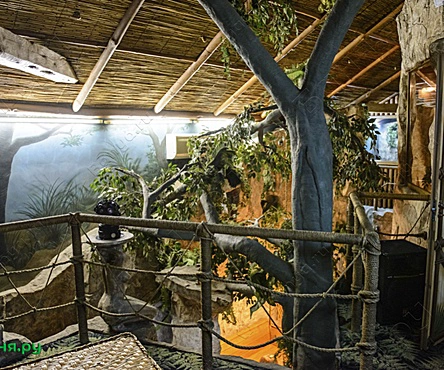 Тропическая парная