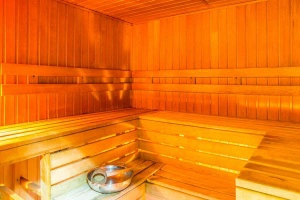 Сауна Аквасфера на Моховой