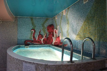 Сауна Осьминог