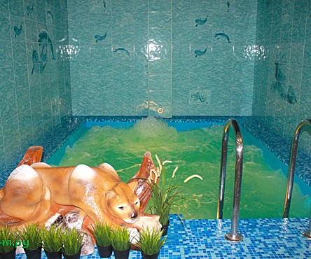 Сауна Венециана