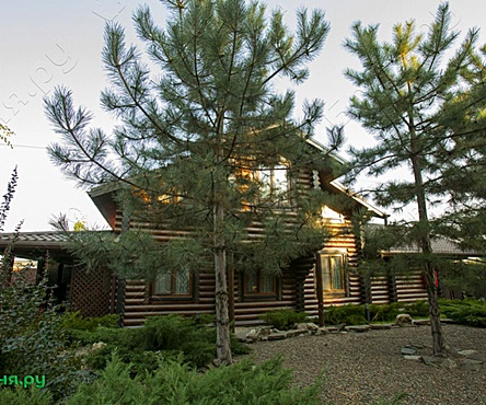 Украинский дом