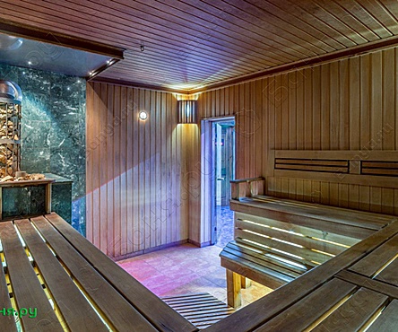 Баня Арктика