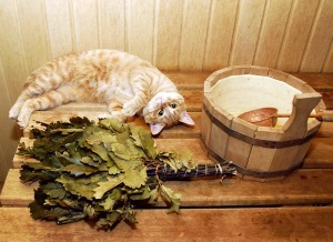 Сауна Ели-Пили