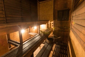 Мытнинские бани Мытнинские бани