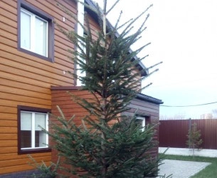 Банный дом Рахат