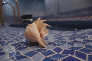 Сауна Посейдон