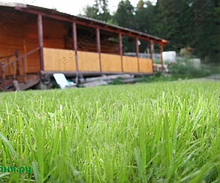 Баня Елки-Палки