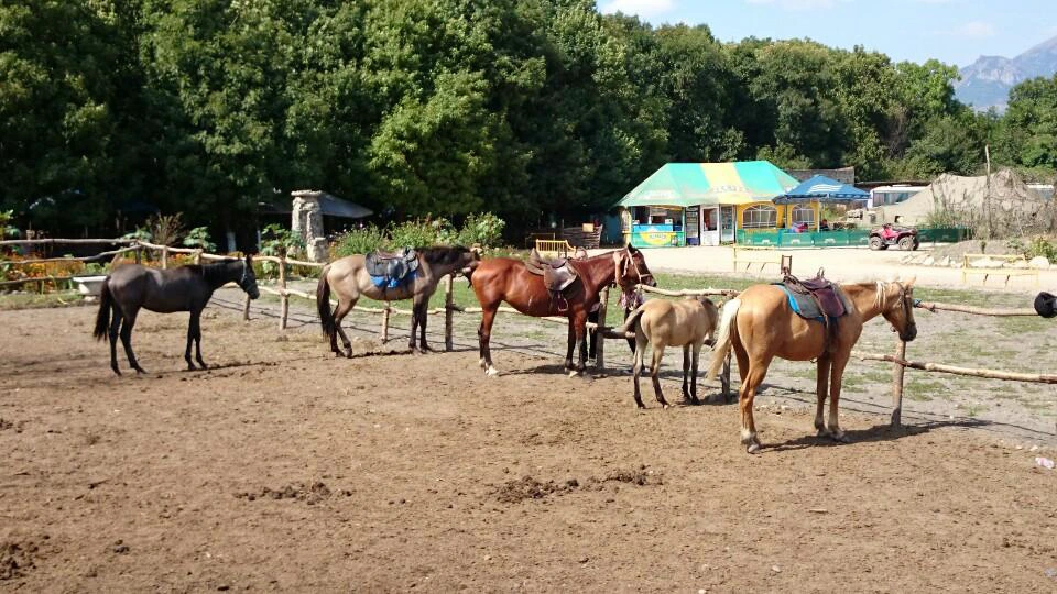 Русская баня Базы отдыха Усадьба Родники