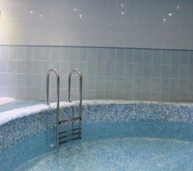 Баня Ионика