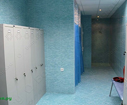 Бассейн сауной 